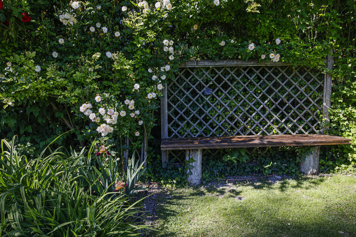 Fête des roses château du Rivau
