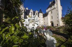 Fête des roses château du Rivau