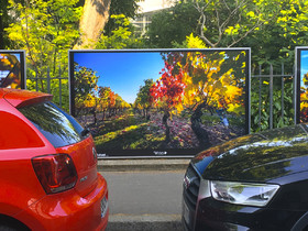 exposition,lumière,couleur,Tours,vigne