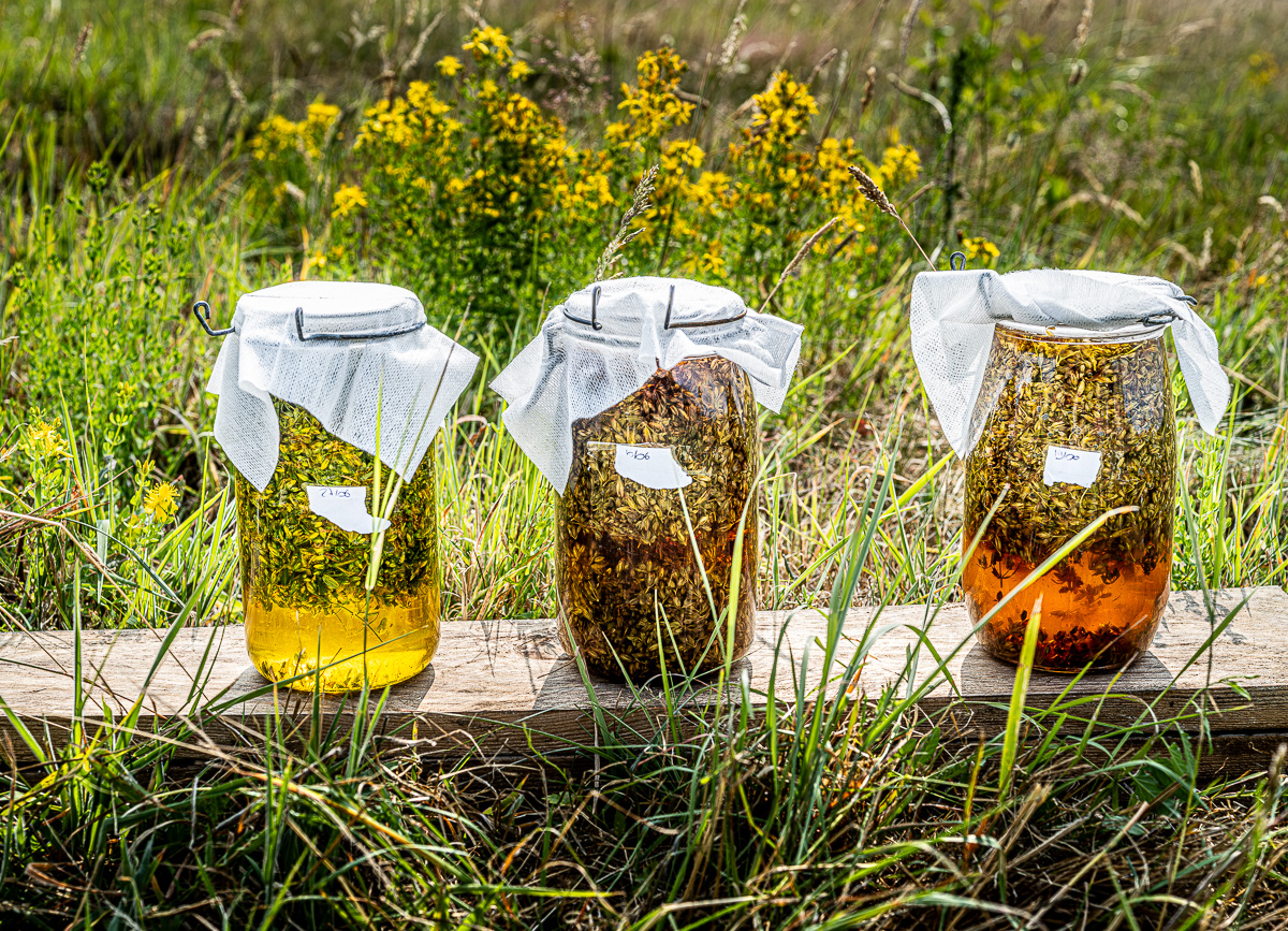 _DSF4503-Avec accentuation-Bruit_web.jpg