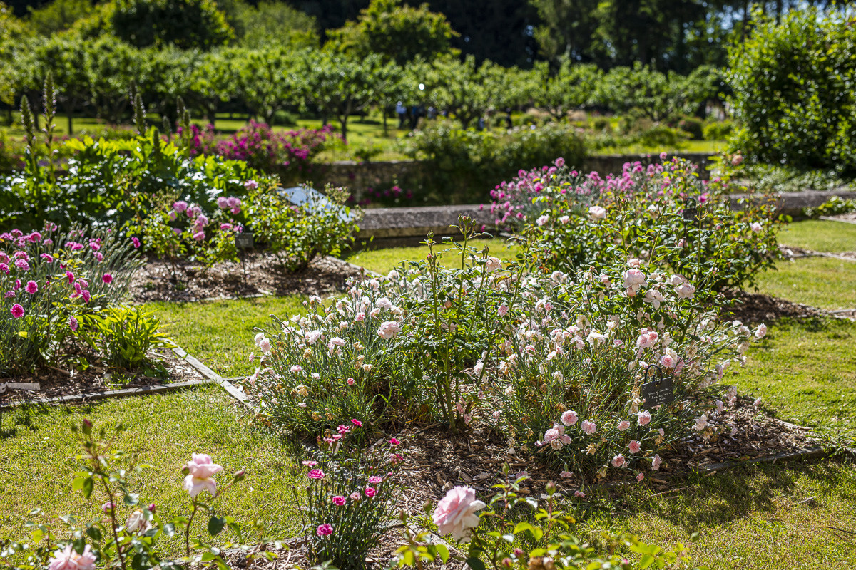 Fête des roses château du Rivau