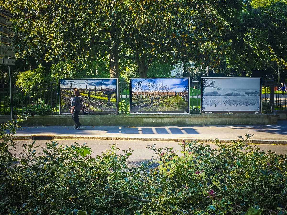exposition,lumière,couleur,Tours,vigne