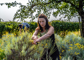 _DSF4407-Avec accentuation-Bruit_web.jpg