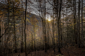 Les Pyrénées en automne