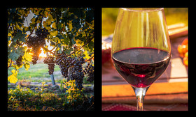 montage dyptique_75_09_v2_web.jpg