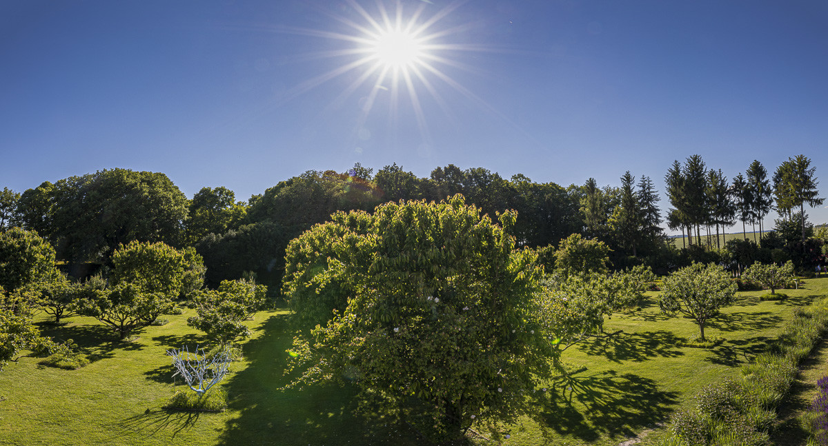 Fête des roses château du Rivau