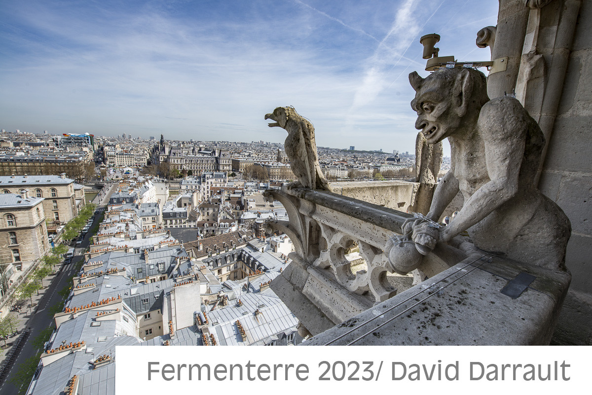 Cathédrale Notre Dame de Paris