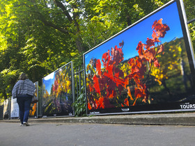 exposition,lumière,couleur,Tours,vigne