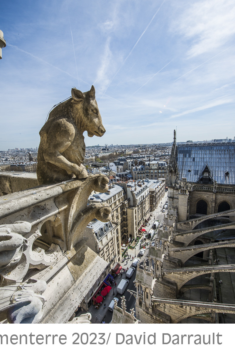 Cathédrale Notre Dame de Paris
