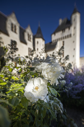 Fête des roses château du Rivau
