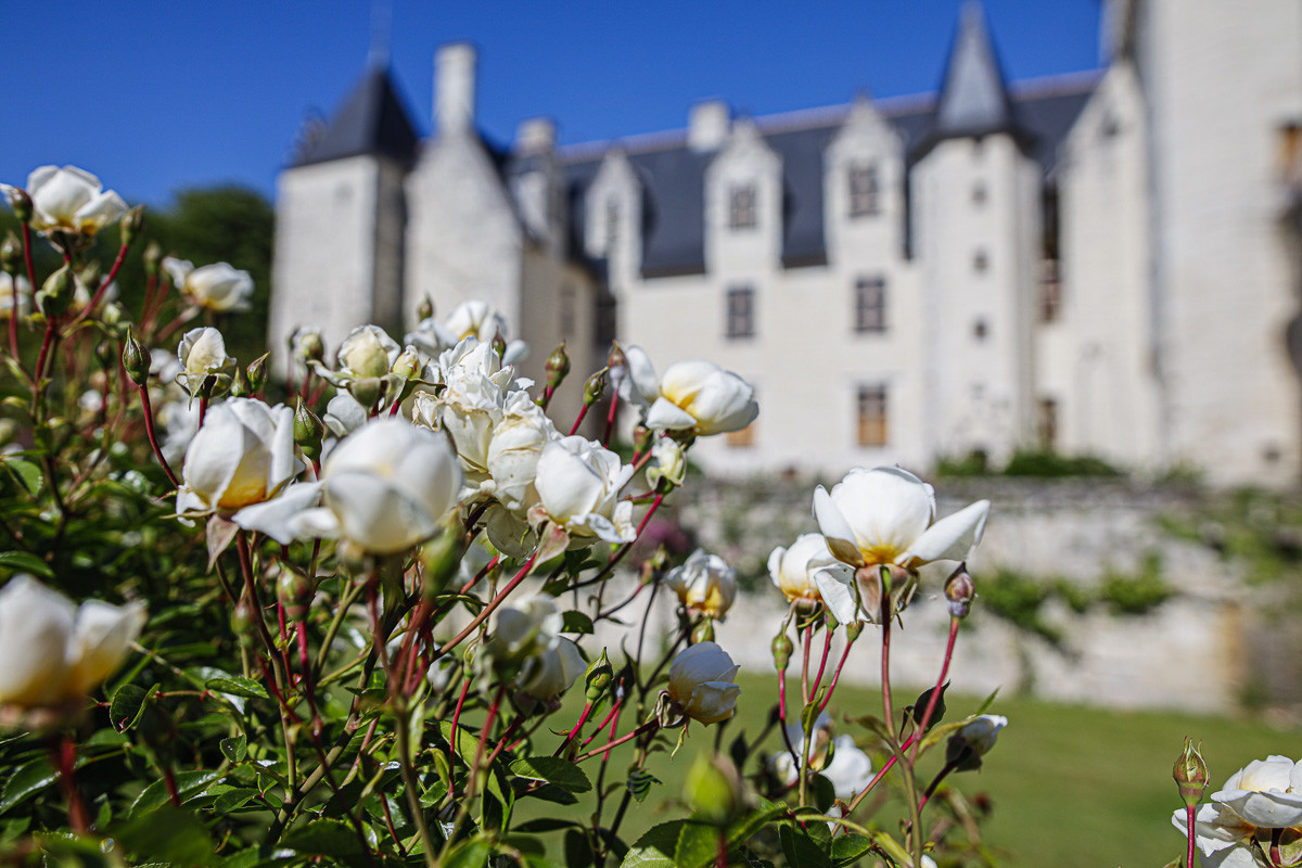 Fête des roses château du Rivau