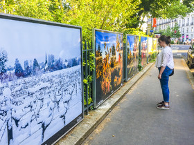 exposition,lumière,couleur,Tours,vigne