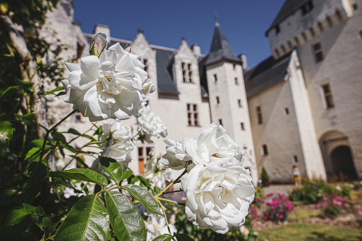 Fête des roses château du Rivau