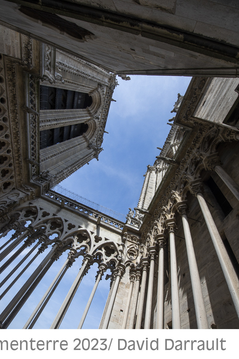 Cathédrale Notre Dame de Paris