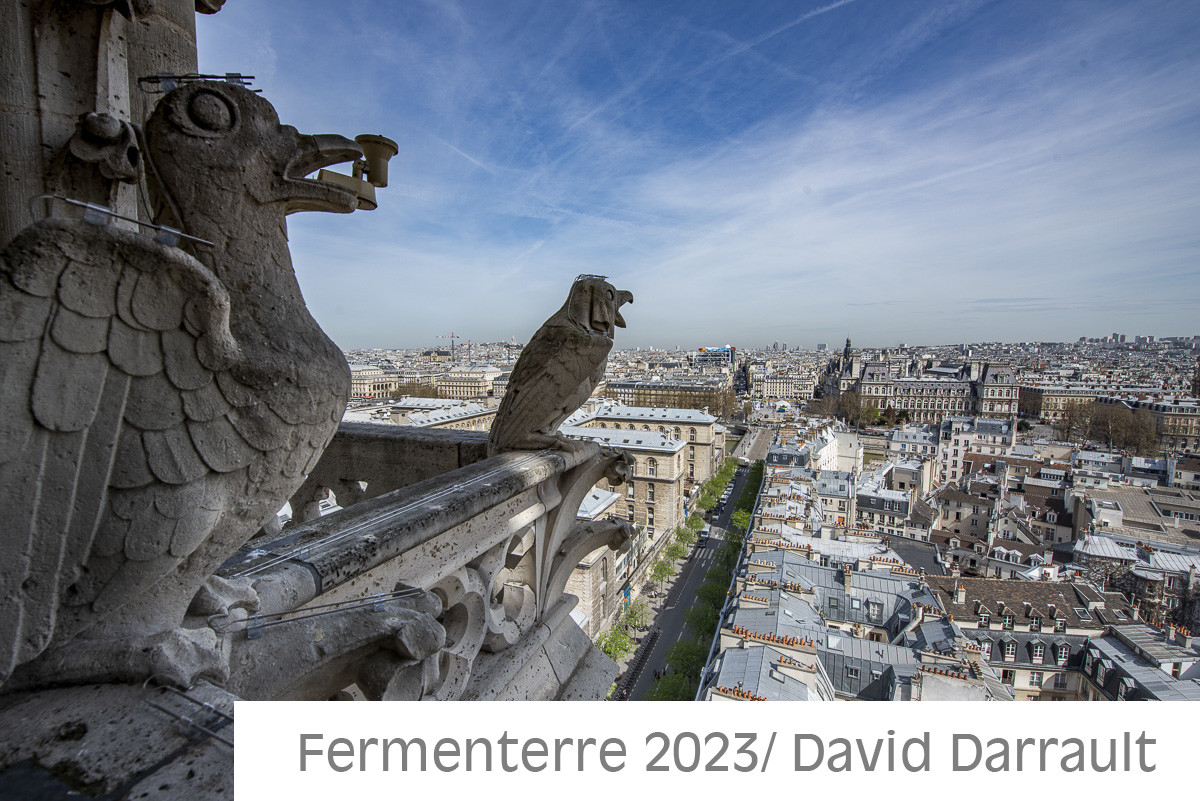 Cathédrale Notre Dame de Paris