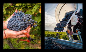 montage dyptique_75_06_web.jpg