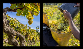 montage dyptique_75_04_web.jpg