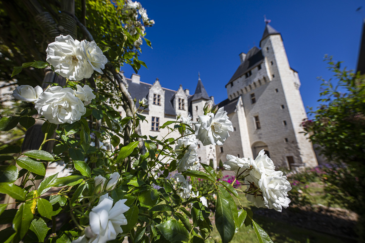 Fête des roses château du Rivau