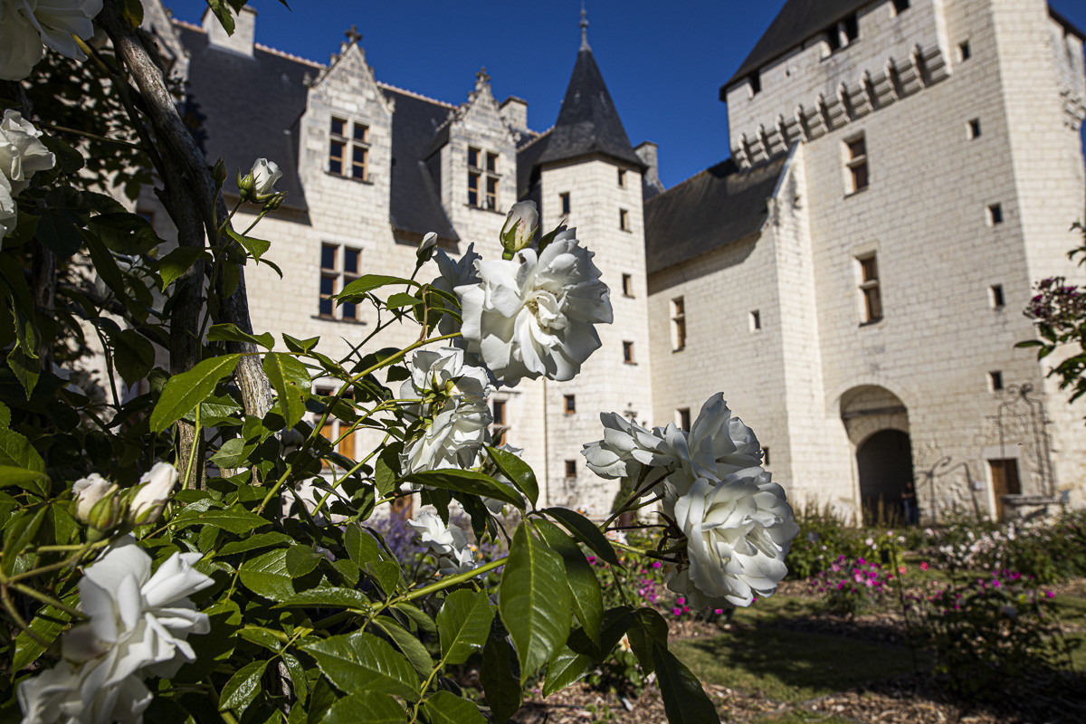 Fête des roses château du Rivau