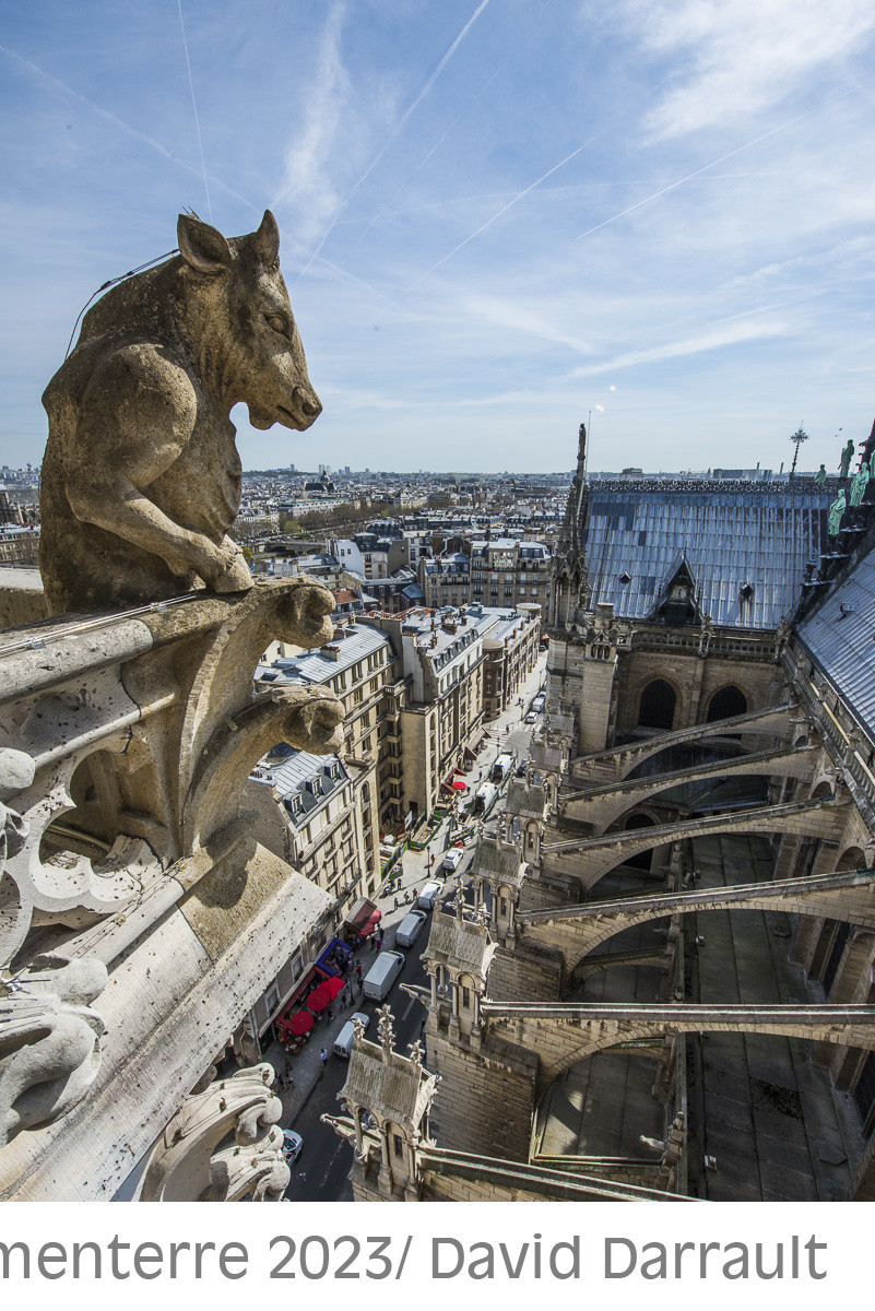 Cathédrale Notre Dame de Paris