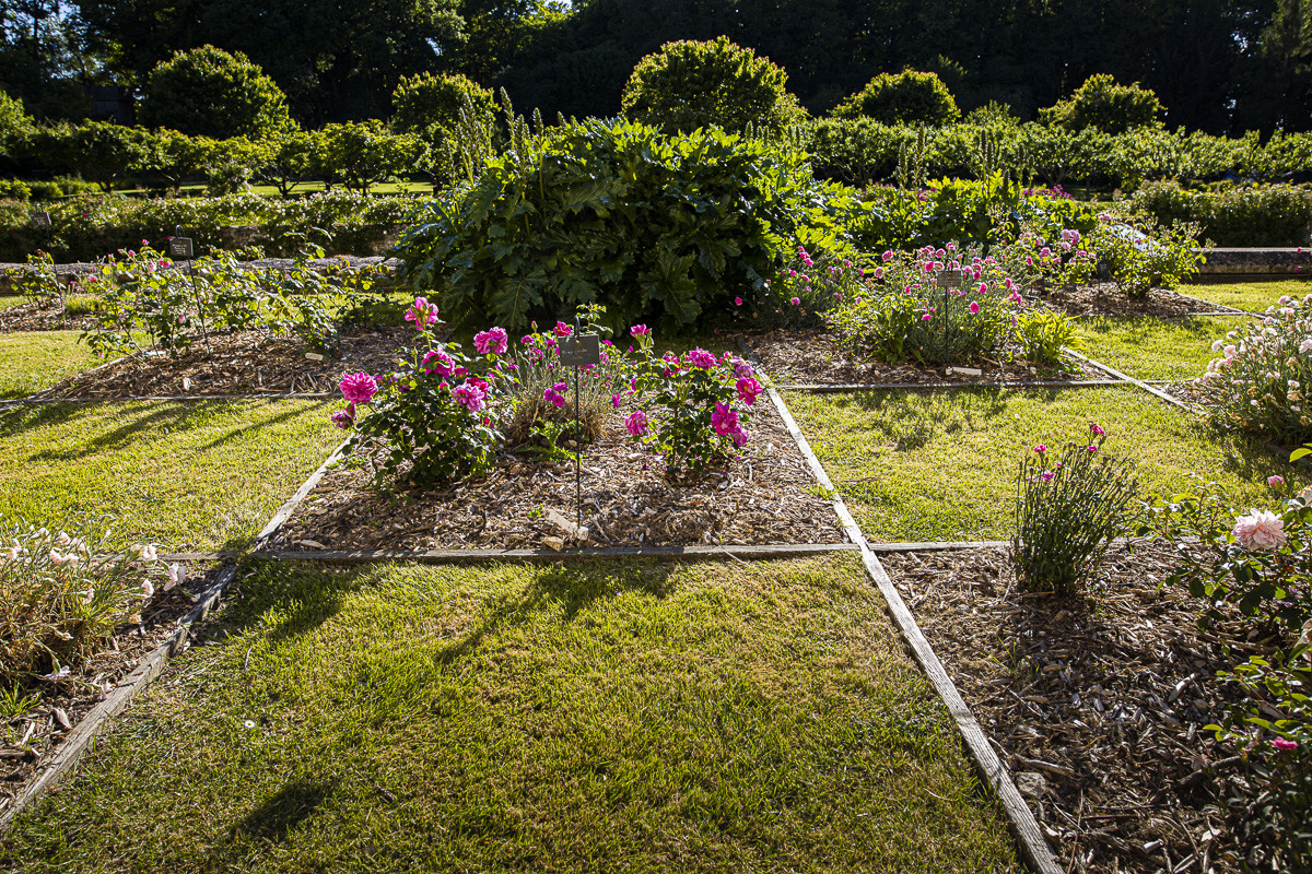 Fête des roses château du Rivau